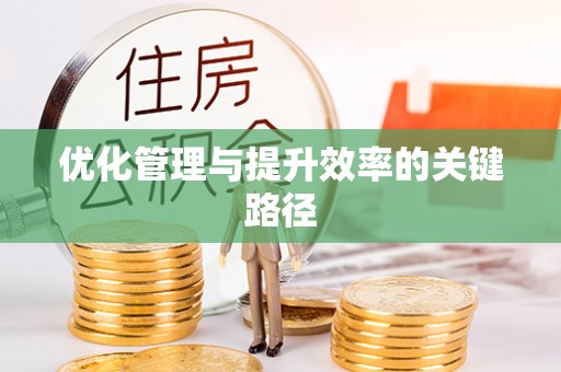 夏县优化管理与提升效率的关键路径