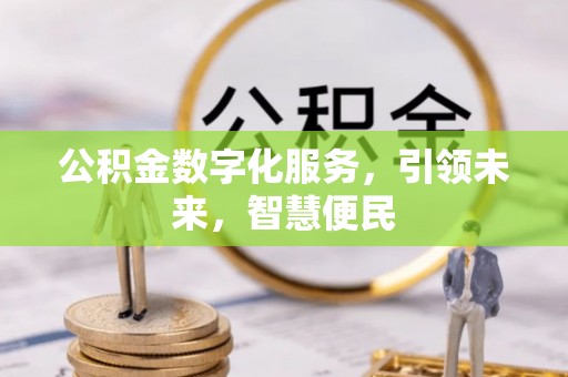 夏县公积金数字化服务，引领未来，智慧便民