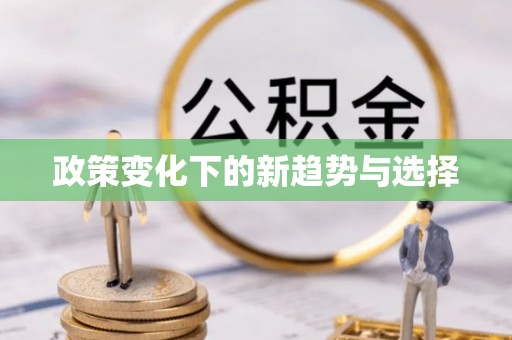 夏县政策变化下的新趋势与选择