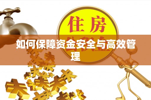 夏县如何保障资金安全与高效管理