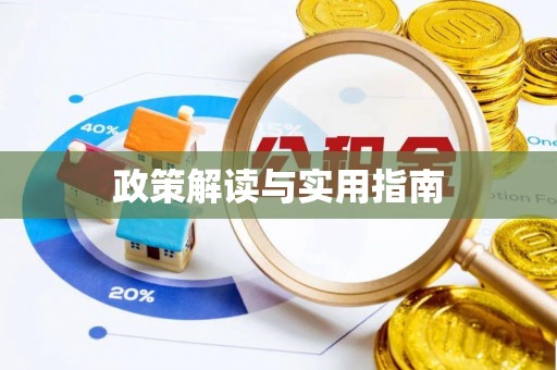 夏县政策解读与实用指南