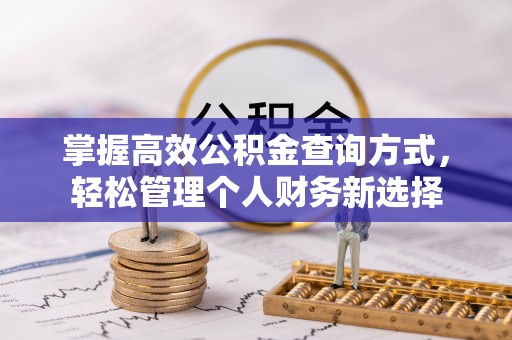 夏县掌握高效公积金查询方式，轻松管理个人财务新选择