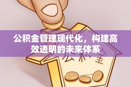 夏县公积金管理现代化，构建高效透明的未来体系