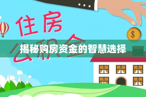 夏县揭秘购房资金的智慧选择