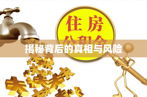 夏县揭秘背后的真相与风险