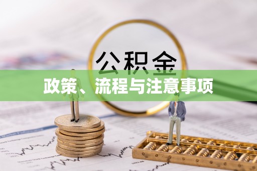 夏县政策、流程与注意事项