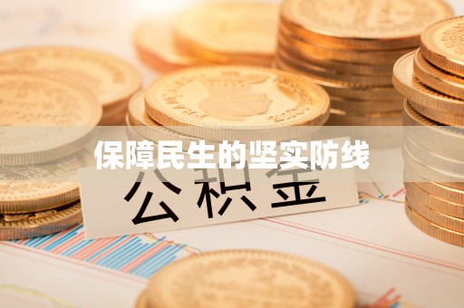 夏县保障民生的坚实防线