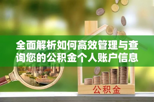 夏县全面解析如何高效管理与查询您的公积金个人账户信息
