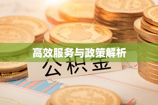 夏县高效服务与政策解析