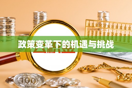 夏县政策变革下的机遇与挑战