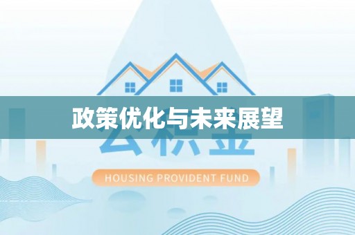 夏县政策优化与未来展望