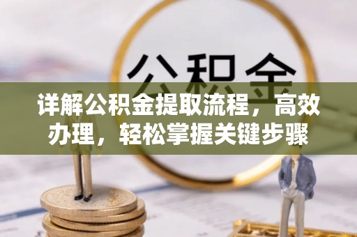 夏县详解公积金提取流程，高效办理，轻松掌握关键步骤