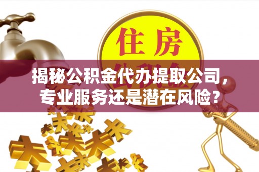 夏县揭秘公积金代办提取公司，专业服务还是潜在风险？