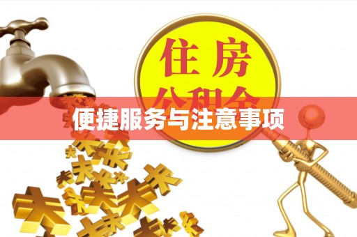 夏县便捷服务与注意事项