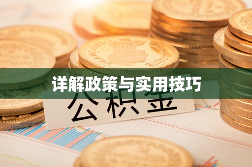 夏县详解政策与实用技巧
