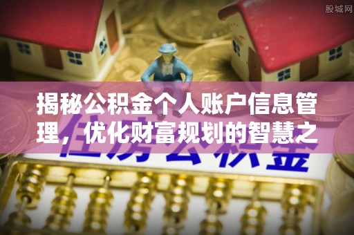 夏县揭秘公积金个人账户信息管理，优化财富规划的智慧之选