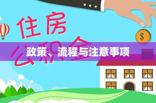 夏县政策、流程与注意事项