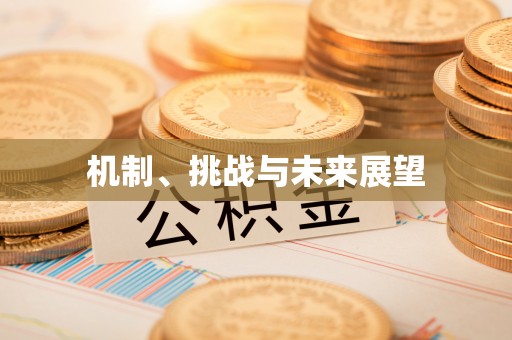 夏县机制、挑战与未来展望