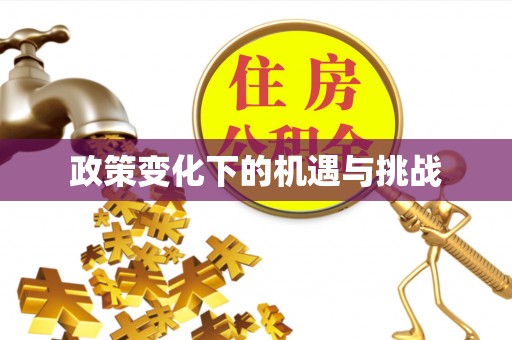 夏县政策变化下的机遇与挑战