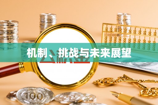 夏县机制、挑战与未来展望