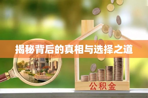 夏县揭秘背后的真相与选择之道